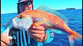 We Catch a New Species of Fish!