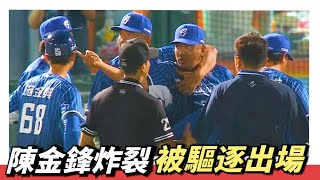 陳金鋒被『驅逐出場』～這只有陳連宏扛得住啊