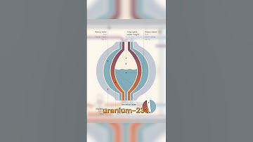 Thorium Fuel Cycle Explained in 1 Min