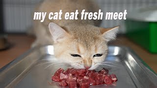 How my cat eat fresh meat by Arif Niza 3,592 views 2 years ago 3 minutes, 14 seconds