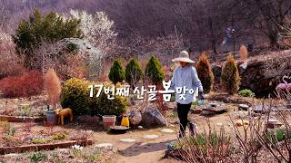 Bahar Bahçesinde Ve Sebze Bahçesinde Yapılacak Çok Şey Var Ama Keyifli.