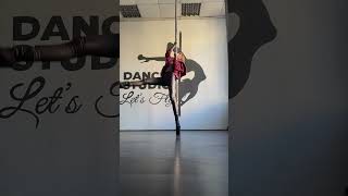 Pole dance and exot