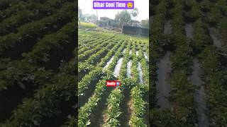 Bihar Cool Time 😲#princevlog78 #2026 #vlogger #trendingshorts #chadar #cooltime #mnojdeyvlog