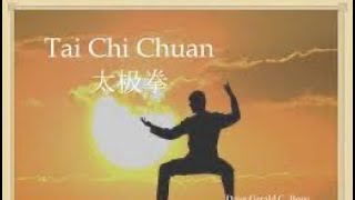 Mesmerizing Shaolin Monk Demonstrates the Graceful Art of Tai Chi #meditation #mindfulness #buddha