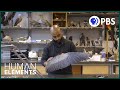 Understanding Bird Flight and Its Implications