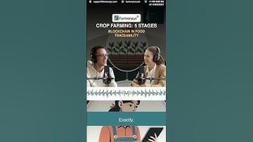 Blockchain in Food Traceability