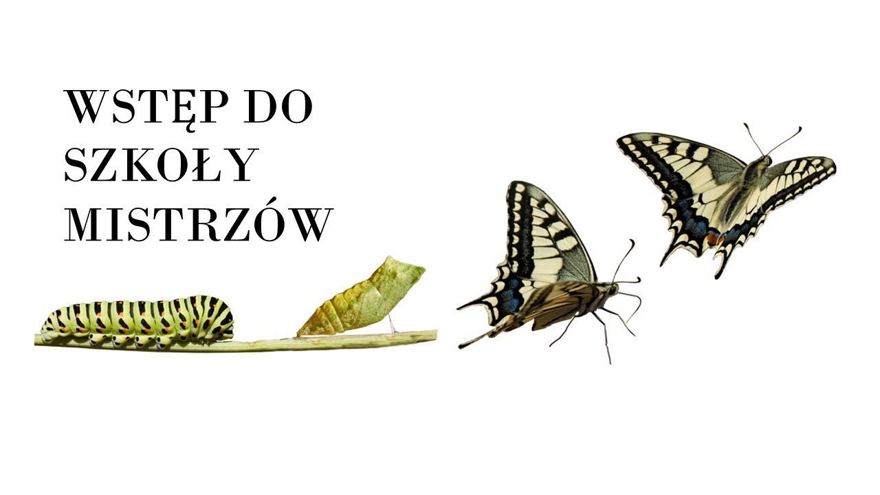 camera iphone 8 plus apk Proces przebudzenia czyli co będzie w Szkole Mistrzów?