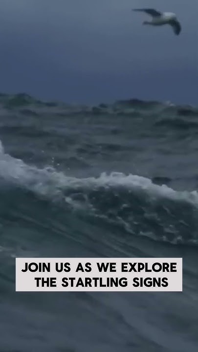 5th biggest tsunami