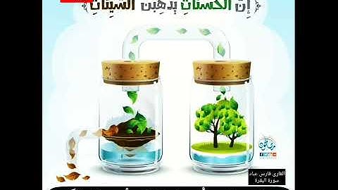 حالات واتس أب دينيةبصوت القارى فارس عباد سورة البقرة