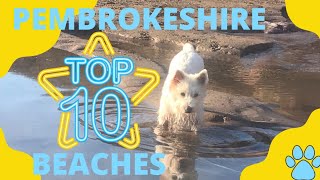Top Dog-friendly Beaches In Pembrokeshire: The Ultimate Guide!