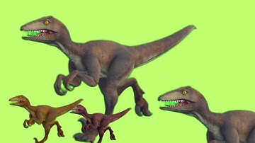 Velociraptor Running Cycle - Animation #kids #dinosaur #dinosaurs