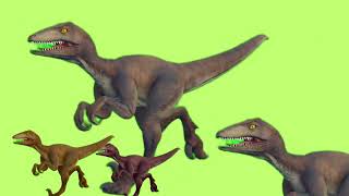Velociraptor Running Cycle - Animation #kids #dinosaur #dinosaurs