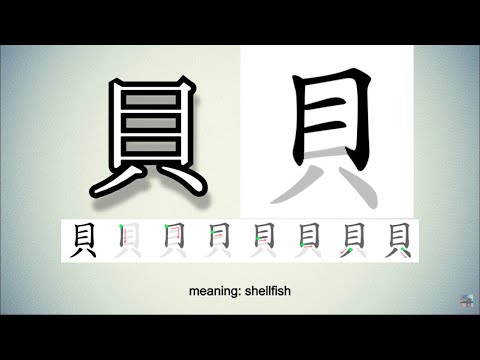 Video Shellfish 貝