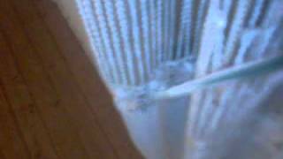 Re: Onur Saritas - Oy Pusilim