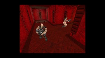 Lamerkatz Chronicles