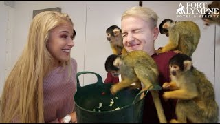 Win An Amazing Squirrel Monkey Experience! | Port Lympne Hotel & Reserve