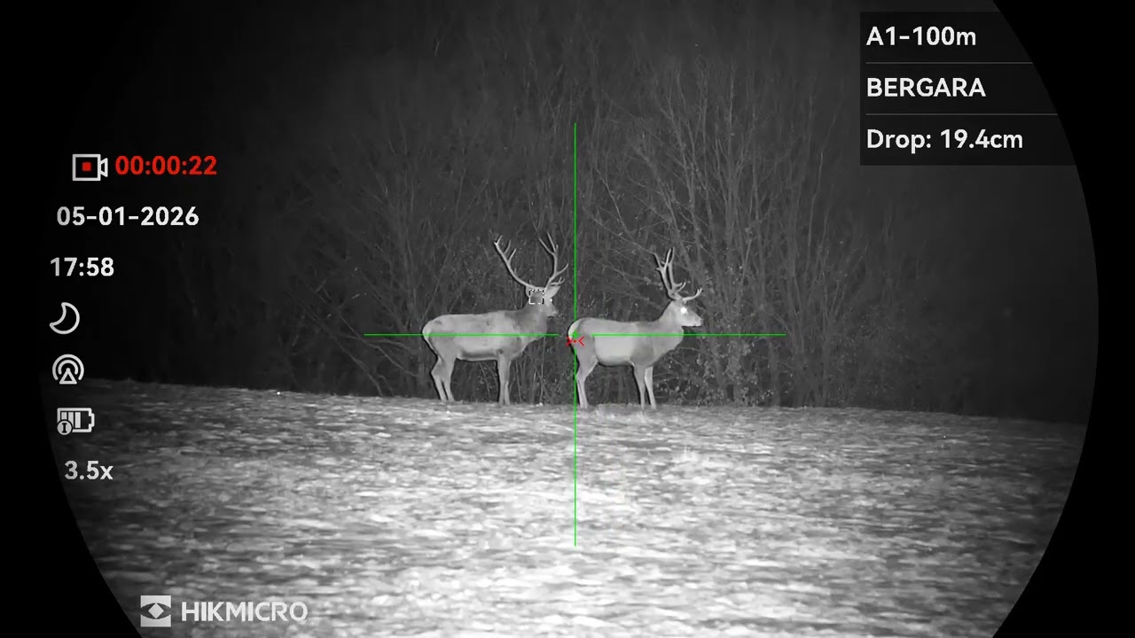 Jeleň lesný  - Hikmicro alpex 4k LRF