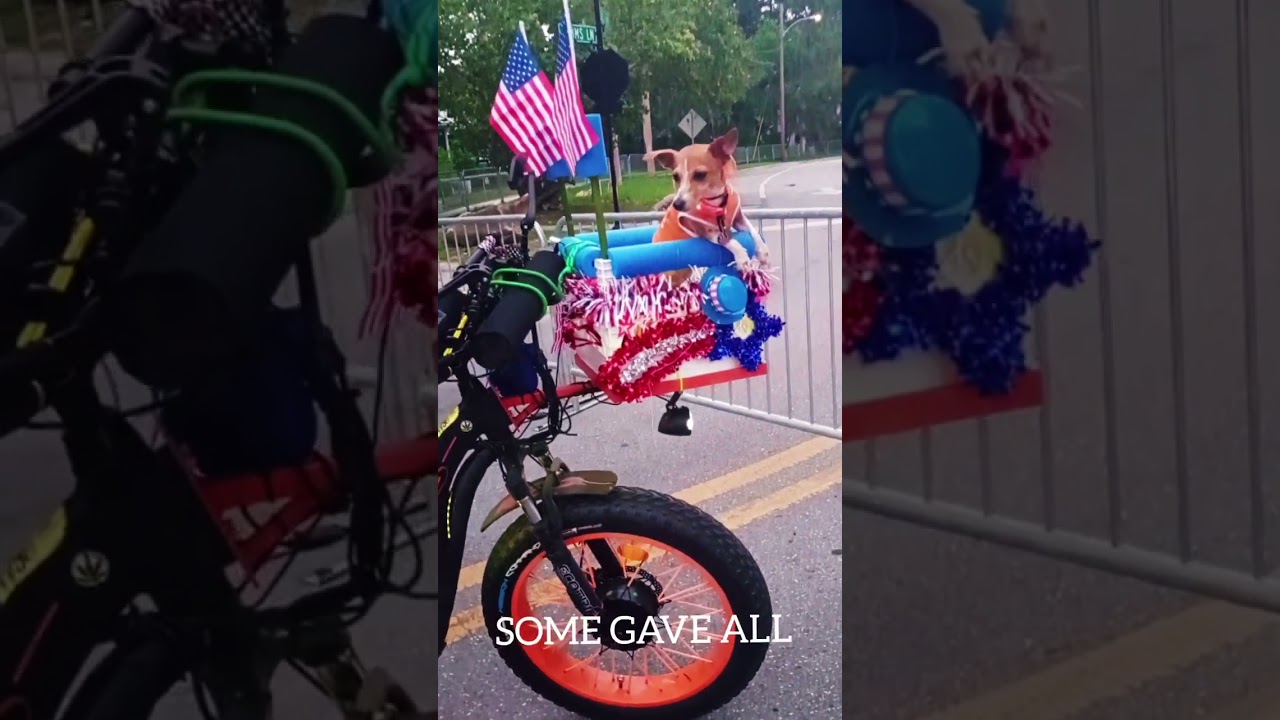 ILLEGAL FIREWORKS FOR SALE. NPR, FL 