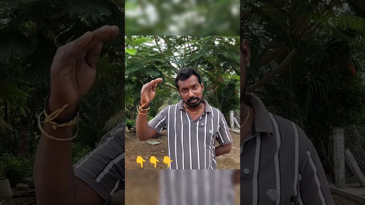 suma nu nenachingala😠 #goatfarming #goat