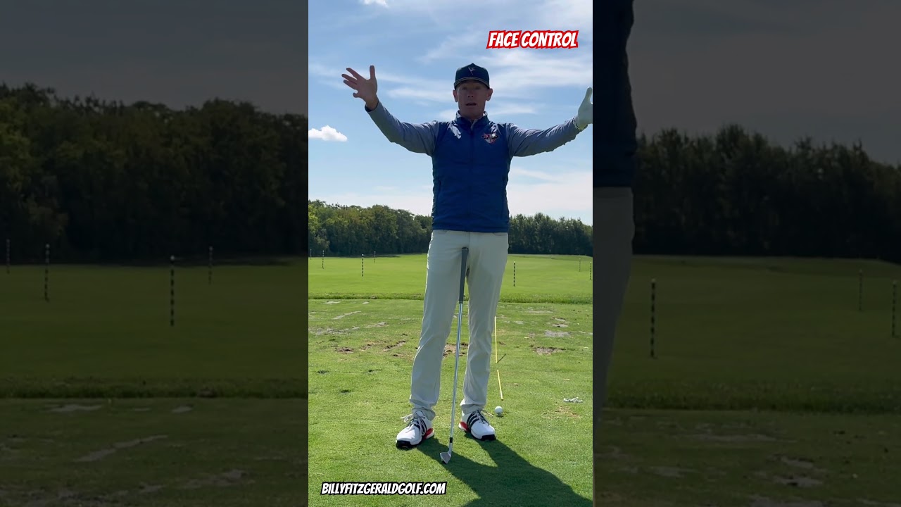 Контроль лица 