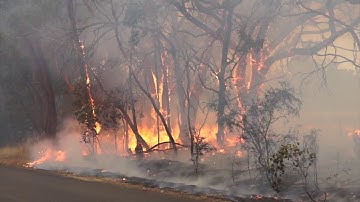 Learning Management System