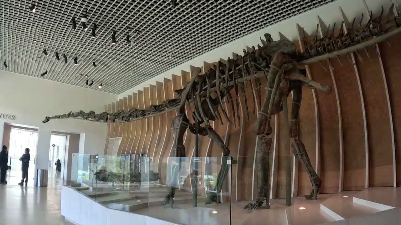 Gnatalie-newly discovered dinosaur, at 75 feet long is still not the biggest dinosaur 