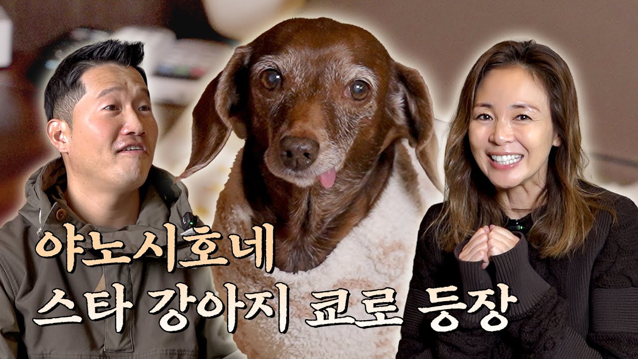 일본에서 최고로 귀여운 강아지 영접하고 옴 [안고독한 훈련사 EP.9]