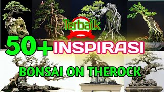 BONSAI ON THE ROCK INSPIRASI