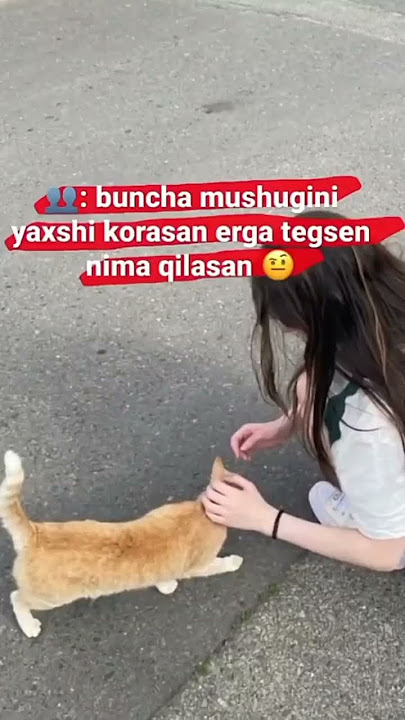 Qòshib olib ketaman qarab turing hali😌💗