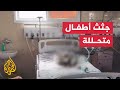 مشاهد صادمة توثق جثث أطفال خدج متحللة في مستشفى النصر بغزة