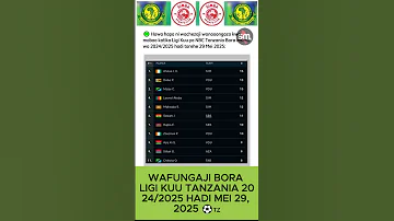 WAFUNGAJI BORA LIGI KUU TANZANIA 2024 2025 HADI MEI 29 2025 
