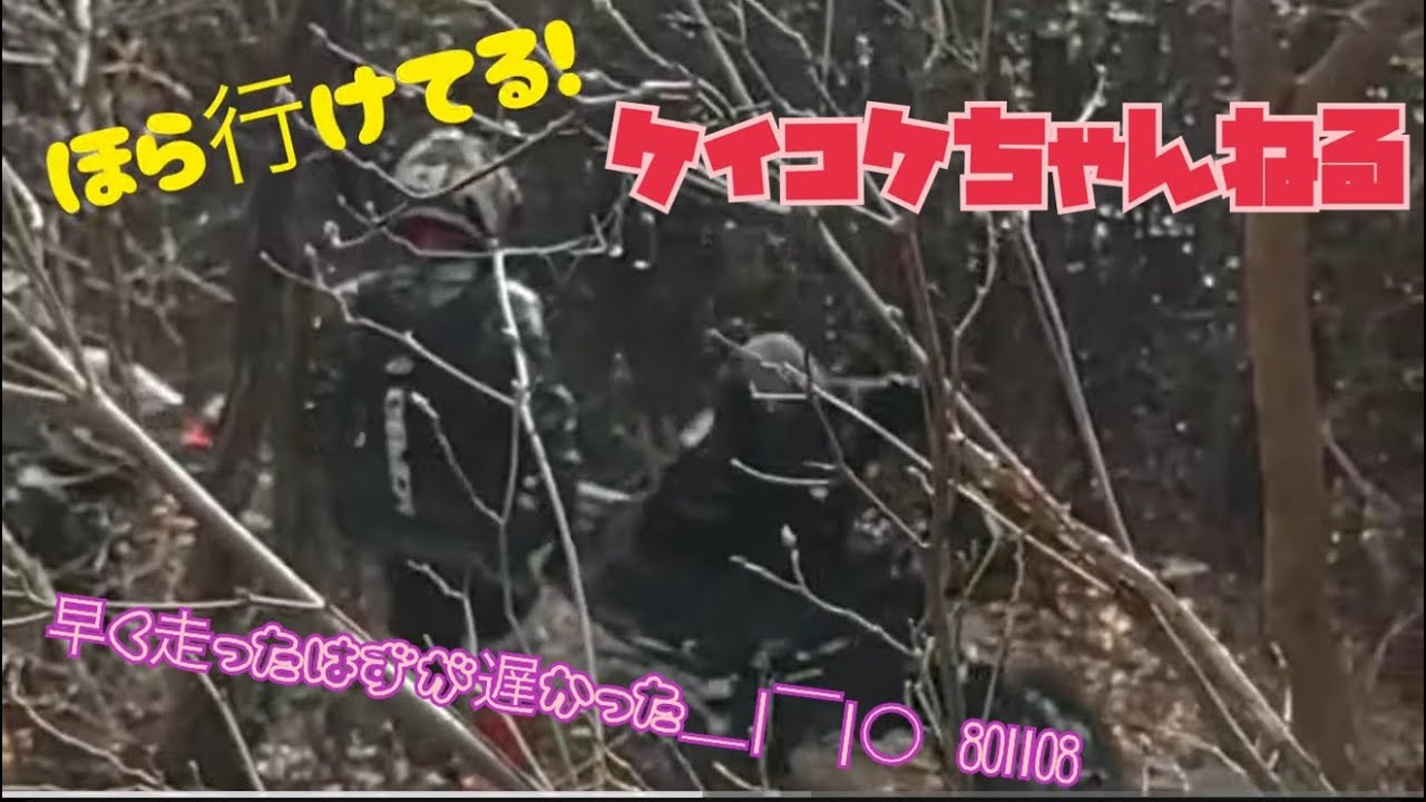 頑張って早く走ったんだけど〰️遅い😂