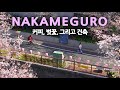 일본 현대건축 여행ep21/나카메구로 카페 투어. 근데 이제 건축을 곁들인