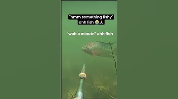 Project moon memes cause I’m a limbus fan now #limbuscompany #projectmoon