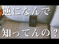Siriに「ニュース教えて」と聞いたらめちゃくちゃどうでもいい近所のニュース話してくる件www