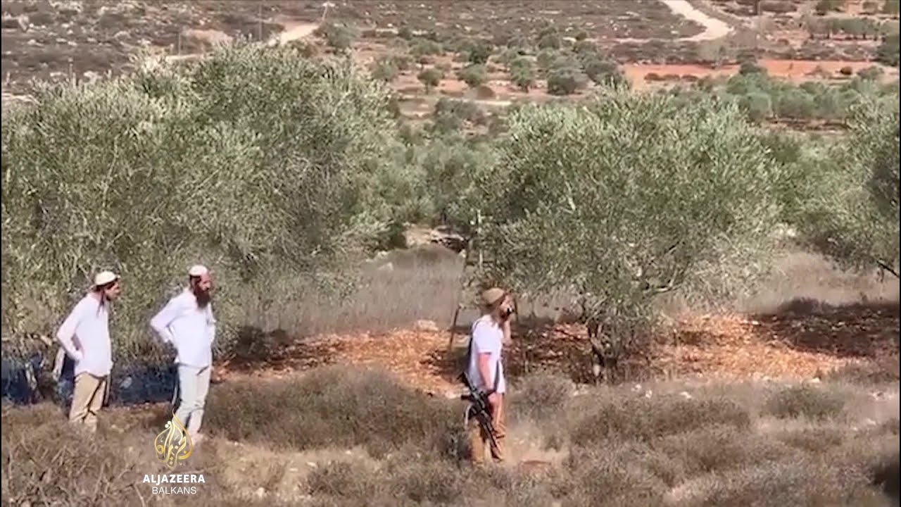 مستوطنون إسرائيليون يعتدون على عامل فلسطيني لقطف الزيتون
