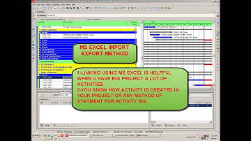PRIMAVERA P6 ACTIVITY RELATIONSHIP LAG