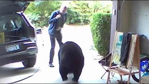 Video shows B.C. man's surprise encounter with bear in his garage