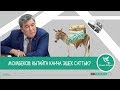 МОМБЕКОВ: КЫТАЙГА КАНЧА ЭШЕК САТТЫК?