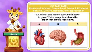 NGSS 4th Grade - Life Science: 4-LS1-1 Internal and External Structures  of Plants and Animals
