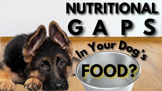 Are There NUTRITIONAL GAPS in Your Dog’s food??? by German Shepherd Man Official Channel 584 views 1 month ago 2 minutes, 40 seconds