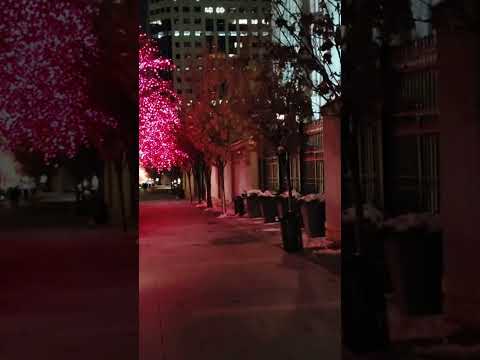 Video: Vianočné osvetlenie v S alt Lake City