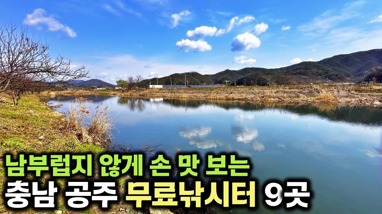 (주소공개) 알려주기 아까운 미친 풍경의 무료낚시터 👌손 맛 찐하게 볼 수 있는 매일 오고 싶은 충남 🌰공주 무료낚시터 9곳을 소개합니다. #붕어낚시 #무료낚시터