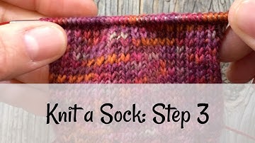 Knit a Sock: Step 3 The Heel Flap