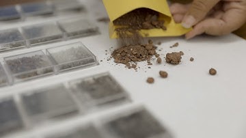 CUBO: Updates from the Source, July 21, 2022