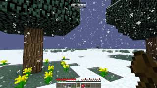 Action Minecraft test