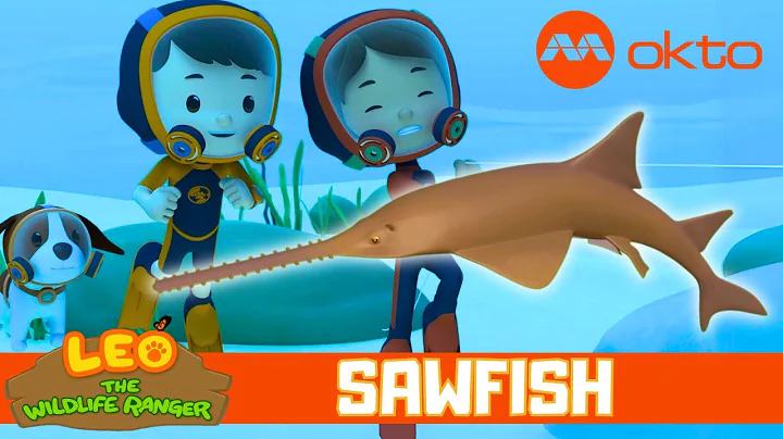 This fish has TEETH on its NOSE? | Leo the Wildlife Ranger Spinoff S5E11 | @mediacorpokto