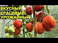 Томат Пасхальное яйцо   описание сорта