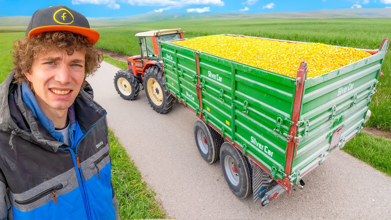 Сколько я ЗАРАБОТАЛ, продав один прицеп кукурузы