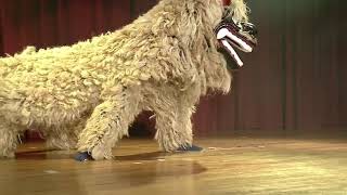 沖縄式の獅子舞 Okinawan lion dance （創作芸団レキオスさん）
